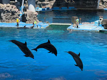 名古屋港水族館に投稿された画像（2026/5/5）
