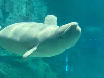 名古屋港水族館に投稿された画像（2026/5/5）