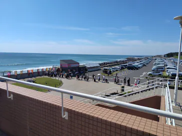 アクアワールド茨城県大洗水族館に投稿された画像（2026/5/5）