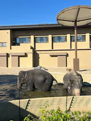 天王寺動物園に投稿された画像（2026/5/5）