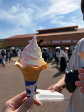 マザー牧場に投稿された画像（2026/5/5）