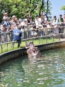 名古屋市東山動植物園に投稿された画像（2026/5/5）