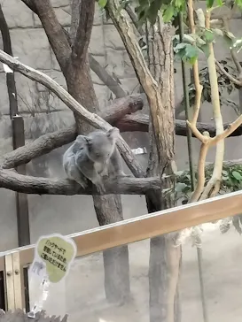 名古屋市東山動植物園に投稿された画像（2026/5/5）