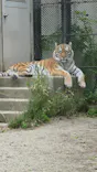 秋田市大森山動物園に投稿された画像（2026/5/5）