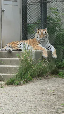 秋田市大森山動物園に投稿された画像（2026/5/5）