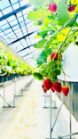 MIGAKI FARMに投稿された画像（2026/5/5）