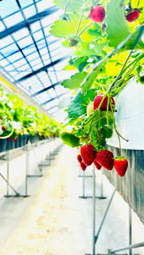 MIGAKI FARMに投稿された画像（2026/5/5）