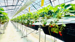 MIGAKI FARMに投稿された画像（2026/5/5）