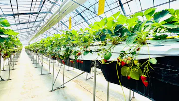 MIGAKI FARMに投稿された画像（2026/5/5）