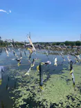 栃木県なかがわ水遊園に投稿された画像（2026/5/5）