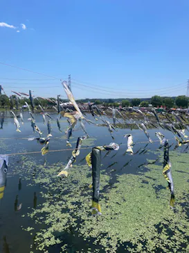 栃木県なかがわ水遊園に投稿された画像（2026/5/5）