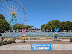 国営ひたち海浜公園プレジャーガーデンに投稿された画像（2026/5/5）