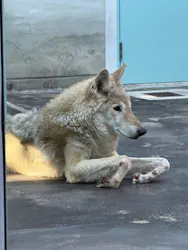 天王寺動物園に投稿された画像（2026/5/5）