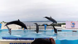沖縄美ら海水族館に投稿された画像（2026/5/5）