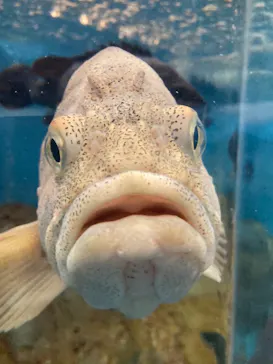 のとじま水族館に投稿された画像（2026/5/5）