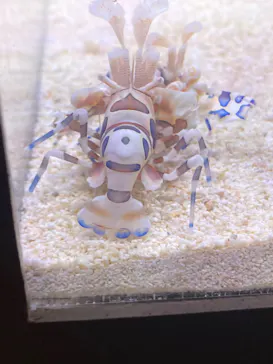 のとじま水族館に投稿された画像（2026/5/5）
