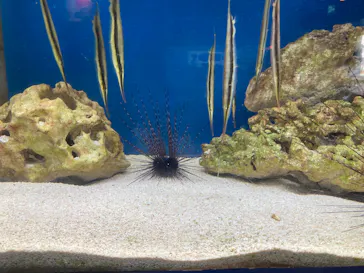 のとじま水族館に投稿された画像（2026/5/5）