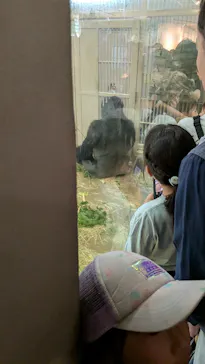 名古屋市東山動植物園に投稿された画像（2026/5/5）