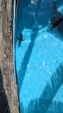 名古屋市東山動植物園に投稿された画像（2026/5/5）