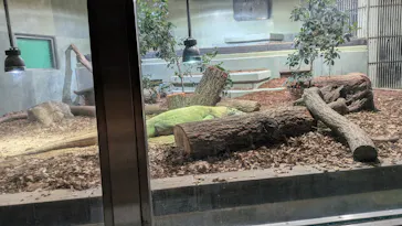 名古屋市東山動植物園に投稿された画像（2026/5/5）