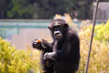 名古屋市東山動植物園に投稿された画像（2026/5/5）