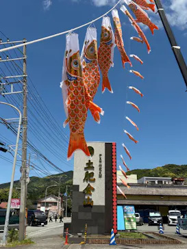土肥金山に投稿された画像（2026/5/5）