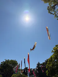 江戸東京たてもの園に投稿された画像（2026/5/5）