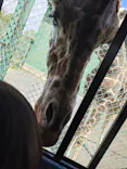 岩手サファリパークに投稿された画像（2026/5/5）