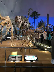 福井県立恐竜博物館に投稿された画像（2026/5/5）