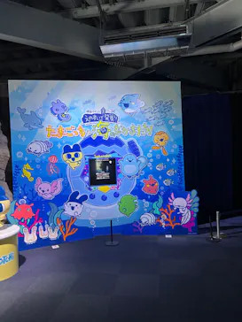 新江ノ島水族館に投稿された画像（2026/5/5）
