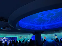 新江ノ島水族館に投稿された画像（2026/5/5）