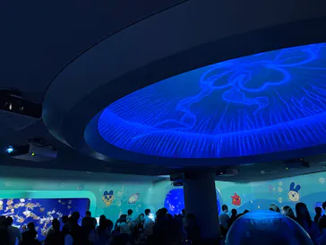 新江ノ島水族館に投稿された画像（2026/5/5）