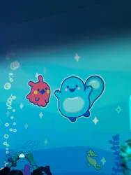 新江ノ島水族館に投稿された画像（2026/5/5）