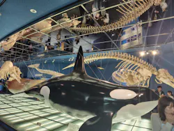 名古屋港水族館に投稿された画像（2026/5/5）