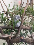 多摩動物公園に投稿された画像（2026/5/5）