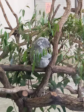 多摩動物公園に投稿された画像（2026/5/5）