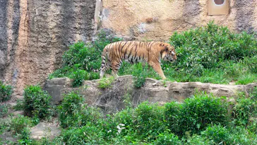 多摩動物公園に投稿された画像（2026/5/5）