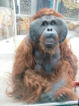 多摩動物公園に投稿された画像（2026/5/5）