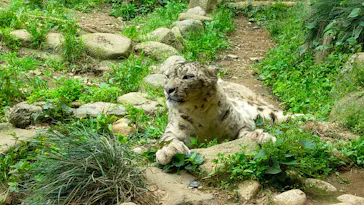 多摩動物公園に投稿された画像（2026/5/5）