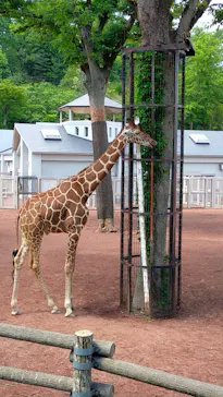 多摩動物公園に投稿された画像（2026/5/5）