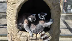 東武動物公園に投稿された画像（2026/5/5）