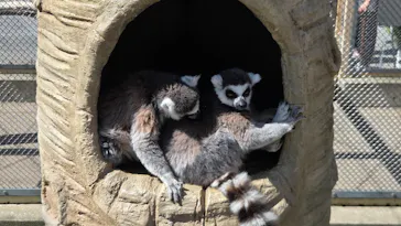 東武動物公園に投稿された画像（2026/5/5）