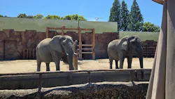 東武動物公園に投稿された画像（2026/5/5）