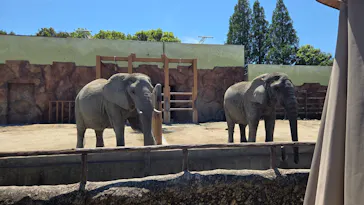 東武動物公園に投稿された画像（2026/5/5）