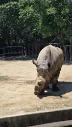 東武動物公園に投稿された画像（2026/5/5）