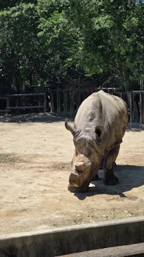 東武動物公園に投稿された画像（2026/5/5）