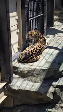 東武動物公園に投稿された画像（2026/5/5）