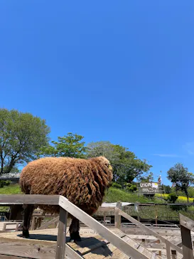 まかいの牧場に投稿された画像（2026/5/5）