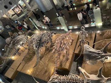 福井県立恐竜博物館に投稿された画像（2026/5/5）