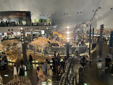 福井県立恐竜博物館に投稿された画像（2026/5/5）